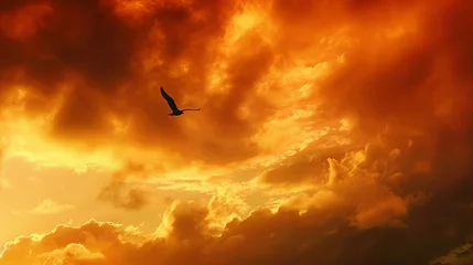 Fotobehang A hawk soaring in the sky © Ege