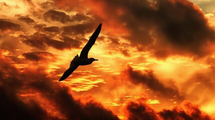 Fototapeta premium A hawk soaring in the sky