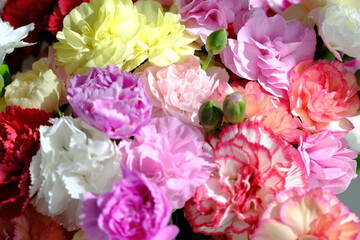 bouquet of carnations