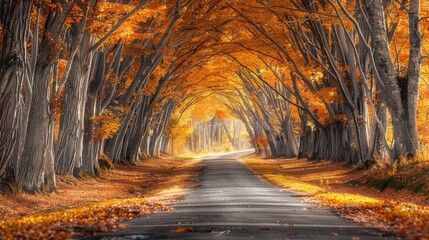 A thin ribbon of road disappears into a tunnel of golden foliage creating a vibrant canopy overhead. The rustling of the leaves is . AI generation.