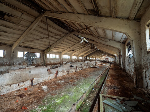 Scene inside old abandoned milk cow farm with feeders, windows and old equipment. Soviet union style collective farm. Cost of running agriculture business and economy effects on production.