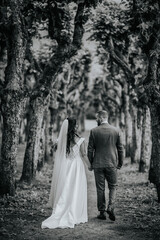 Valmiera, Latvia- July 28, 2024 - A bride and groom walk hand in hand along a tree-lined path, viewed from behind, creating a romantic, tranquil scene.