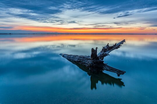 Tree trunk in water, sunset, backwater, Usedom, Mecklenburg-Western Pomerania, Germany, Europe