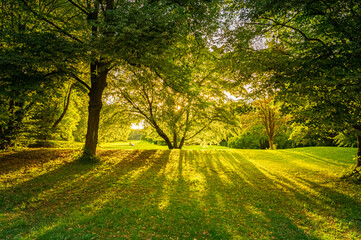 sunset in the park in Munich
