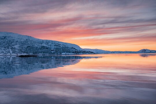 View over Skogs Fjord to Tines Fjaell, Tinesfjellet in winter with pink evening sky, Troms, Norway, Europe