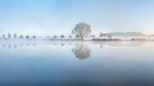 Still lake with morning mist in the soft morning light, a tree stands on the shore, landscape is reflected in the water, Thuringia, Germany, Europe