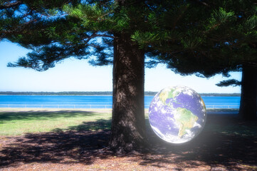 save earth globe ESG concept. Environment society and governance sustainable business globe under shade pine trees multi exposure, Elements of this image furnished by NASA