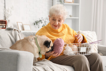 Senior woman with knitting yarn and pug dog on sofa at home