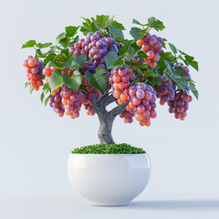 A vibrant grape bonsai tree with ripe clusters in a glossy white pot against a clean white backdrop.