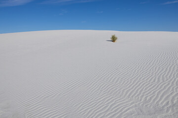 Sand dunes at White Sands National Park, New Mexico
