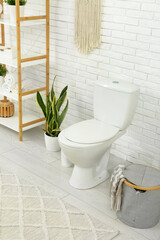 Interior of light bathroom with ceramic toilet bowl and houseplant