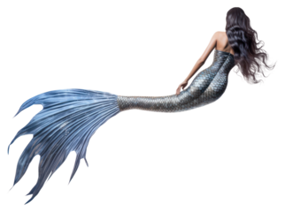 PNG Beautiful mermaid swimming animal adult