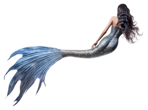 PNG Beautiful mermaid swimming animal adult