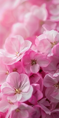 Fototapeta na wymiar A close up of pink flowers with a soft, dreamy feel