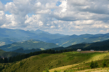 Scenic view of lush green mountains with small wooden shepherds house In the distance under a sky filled with fluffy clouds. Carpathian Mountains, Ukraine