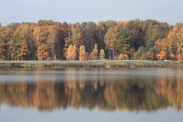 autumn trees reflected in water