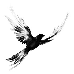 Obraz premium PNG Dove bird animal flying black.