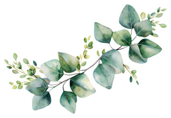 PNG Eucalyptus floral wreath plant leaf white background. - obrazy, fototapety, plakaty