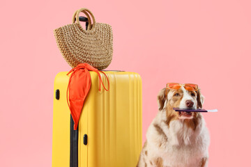 Cute Australian Shepherd dog with passport and bags on pink background. Travel concept