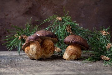 Group of Imleria Badia or Boletus badius mushrooms commonly known as the bay bolete on vintage wooden background..