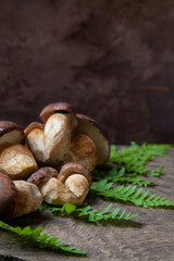 Imleria Badia or Boletus badius mushrooms commonly known as the bay bolete on vintage wooden background..