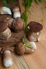 Selective focus on beautyfull porcini mushroom among the pile of wild porcini mushrooms on wooden background at autumn season..