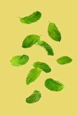 Falling mint leaves or spearing mint isolated on yellow background. - 787617913