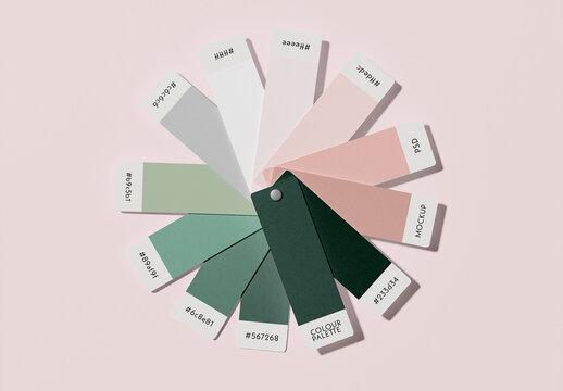 Top View of Color Fan Mockup