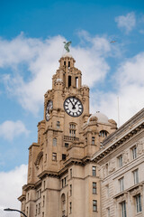 Fototapeta na wymiar The clock tower of the Royal Liver Building in Liverpool, on which is the Liver Bird statue