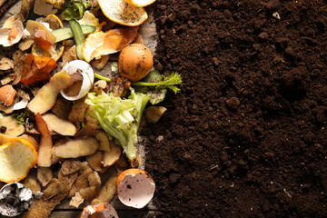 Organic waste on soil, closeup. Compost recycling concept