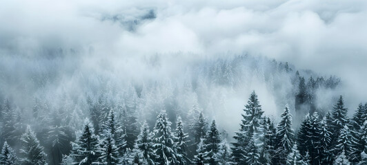 Foggy winter landscape with coniferous forest in mountains Amazing mystical rising fog sky forest snow snowy trees. - obrazy, fototapety, plakaty