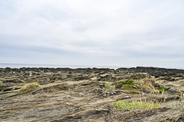 神奈川県三浦市城ヶ島