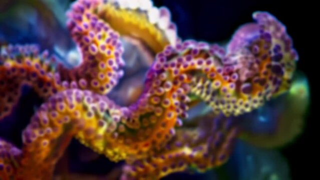 A closeup of a trypanosome with its distinctive undulating membrane and flagellum showcasing its unique adaptations for movement and . AI generation.