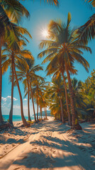 Naklejka premium Road to the beach with palm trees by the sides. Paradise. Vacation and Tourism concept.