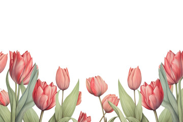 PNG  Realistic vintage drawing of tulip border backgrounds flower plant - obrazy, fototapety, plakaty
