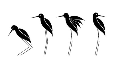 Set of pied stilt birds illustration design vector