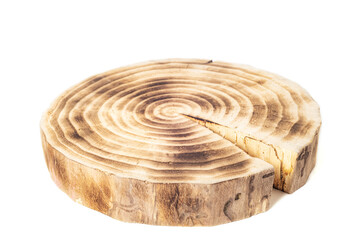 Cross section of a tree trunk with growth rings on white background. Close-up.