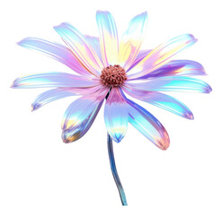 PNG  Daisy flower petal plant daisy - obrazy, fototapety, plakaty