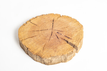 Cross section of a tree trunk with growth rings on white background. Close-up.