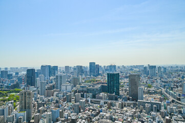Fototapeta na wymiar 日本の首都東京