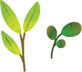 alphabet frame and cactus plant 