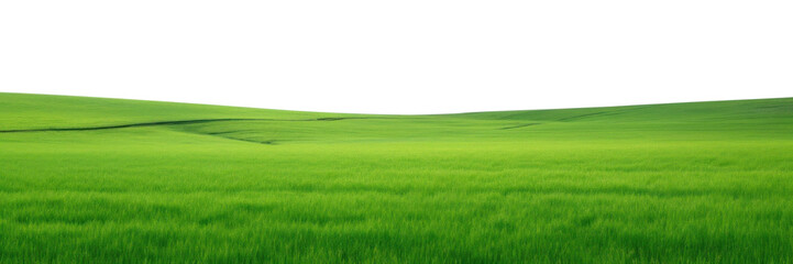PNG Green field with blue sky grassland landscape outdoors. - Powered by Adobe