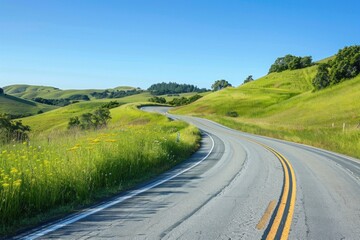 Winding country road with green hills and wildflowers