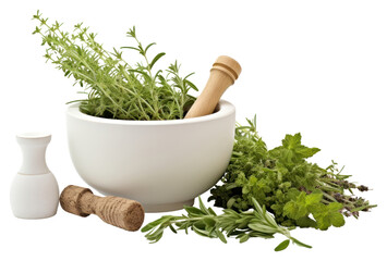 PNG Plant herbs ingredient vegetable. - obrazy, fototapety, plakaty