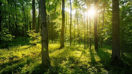 Beautiful spring time view with sunlight between trees in the green forest. AI generated image