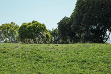 Obraz premium 春・初夏 新緑の緑の草が生える野原の丘と森林 晴天の青空 アウトドア・キャンプ・旅行・行楽の背景