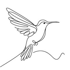 A minimalist line drawing captures a hummingbird in mid-flight, highlighting its dynamic movement and delicate features with a continuous line on an isolated white background.