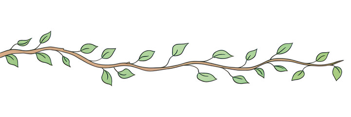 PNG Branch plant leaf white background.