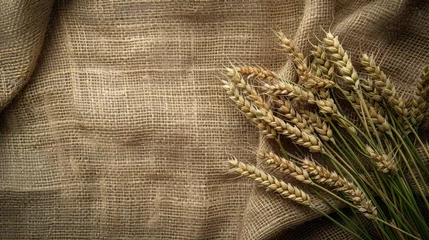  Wheat displayed on a burlap backdrop © 2rogan