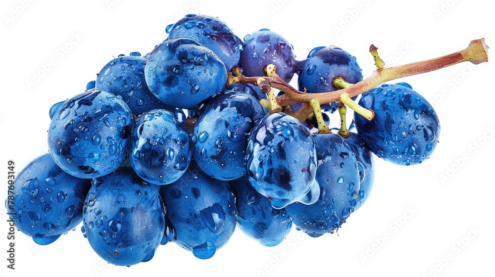Wall mural Blue wet Isabella grapes bunch isolated on white background as package design element - Wall murals